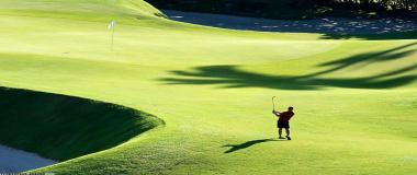 运动体能训练与恢复指导